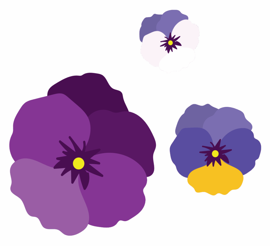 WOW Windowboxes pansies cluster graphic