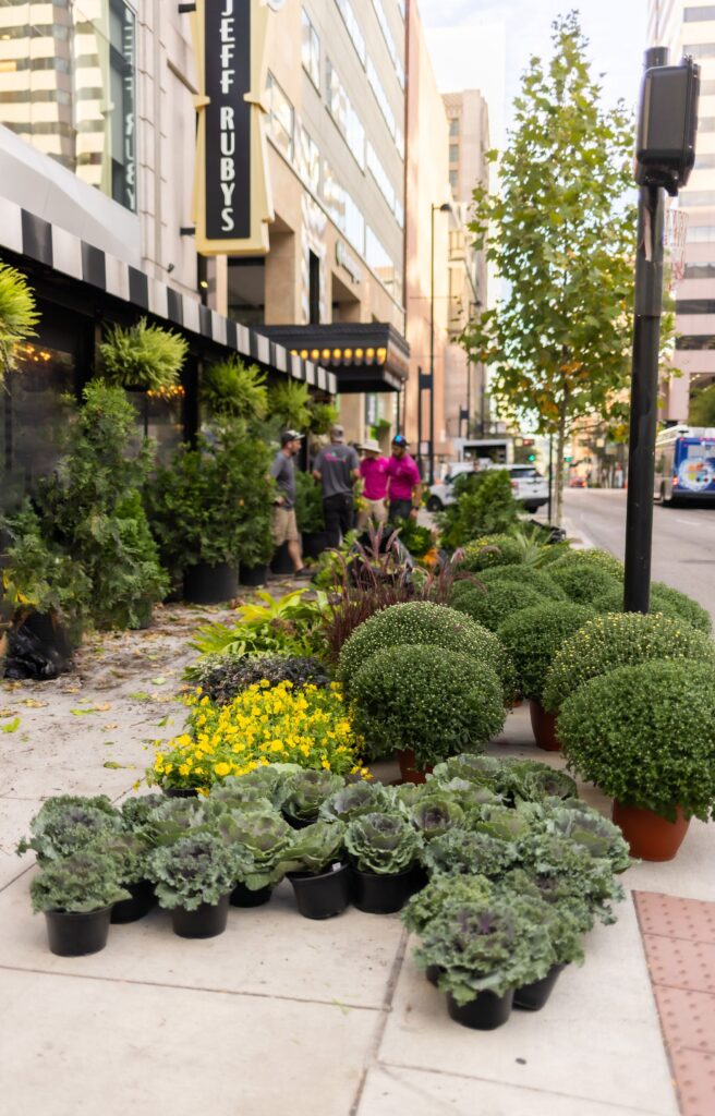 WOW WIndowboxes Franchise Arrangement on the sidewalk