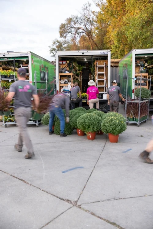 WOW Windowboxes Franchise hard at work 