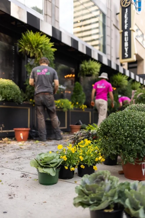 WOW Windowboxes Franchise hard at work