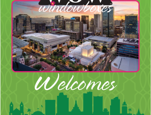 WOW Windowboxes Launches in Phoenix, Scottsdale & the East Valley
