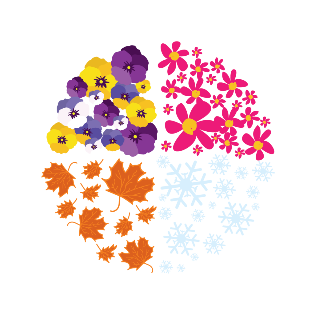 WOW-Winddowboxes-four-seasons