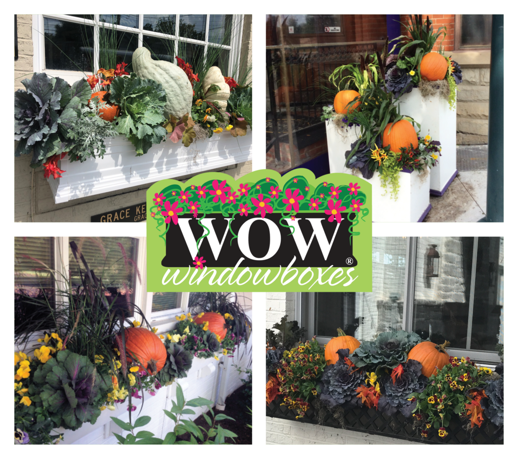 WO WIndowboxes 4 seasons of arrangements