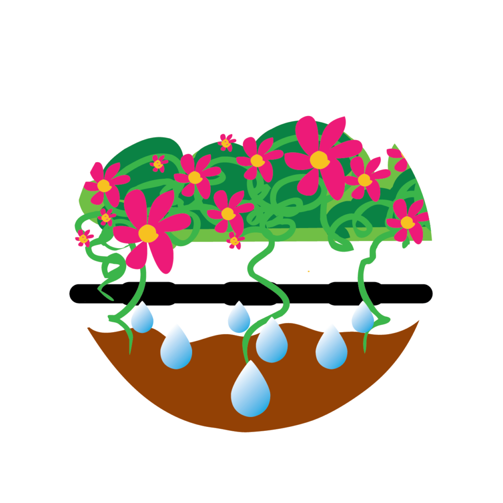 WOW Windowboxes Irrigation