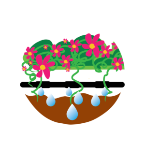 WOW Windowboxes Irrigation