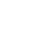 Florida Icon