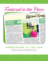 Blog Post Central PA Homegrown in the Sun