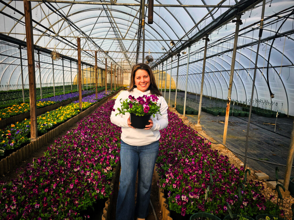 WOW Windowboxes Linda Ekendahl