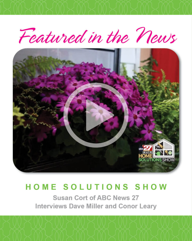 The WOW Factor: WOW Windowboxes add color, beauty to Harrisburg