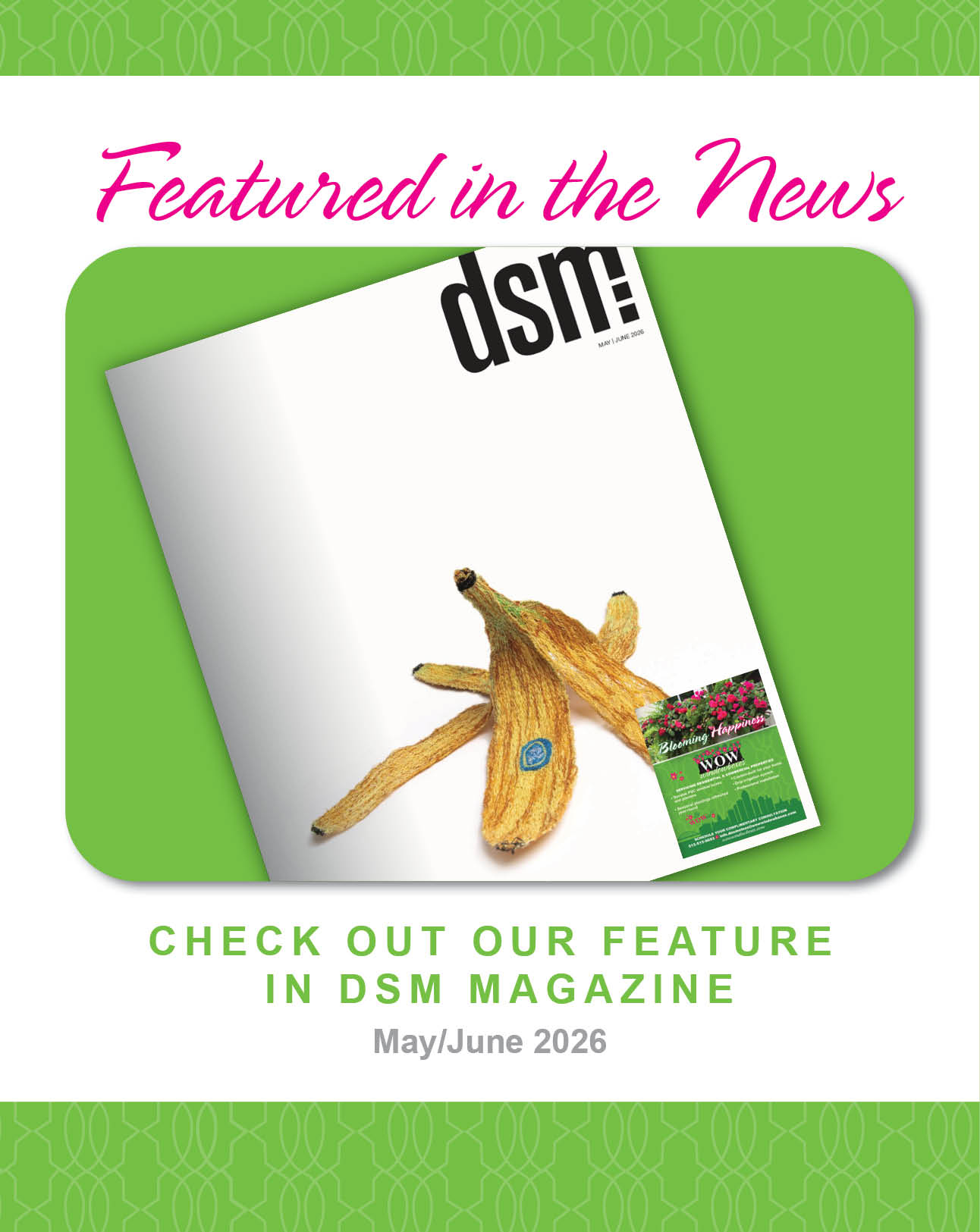 WOW Des Moines DSM Magazine Feature