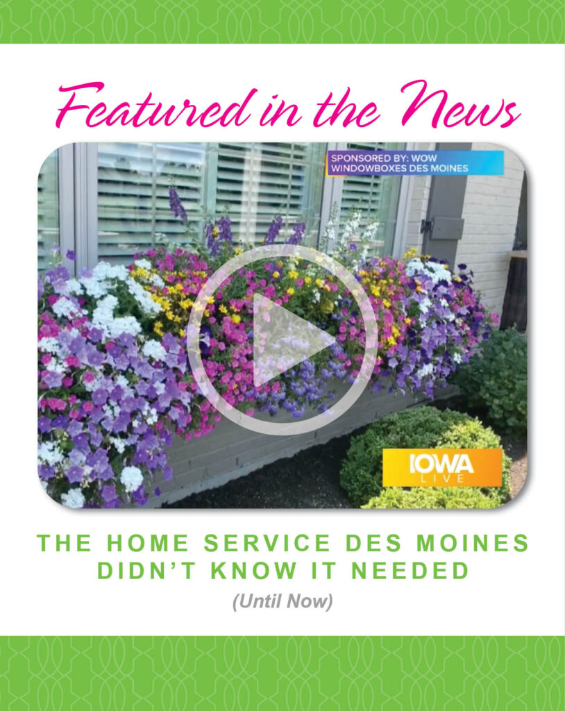 WOW Des Moines Iowa Live