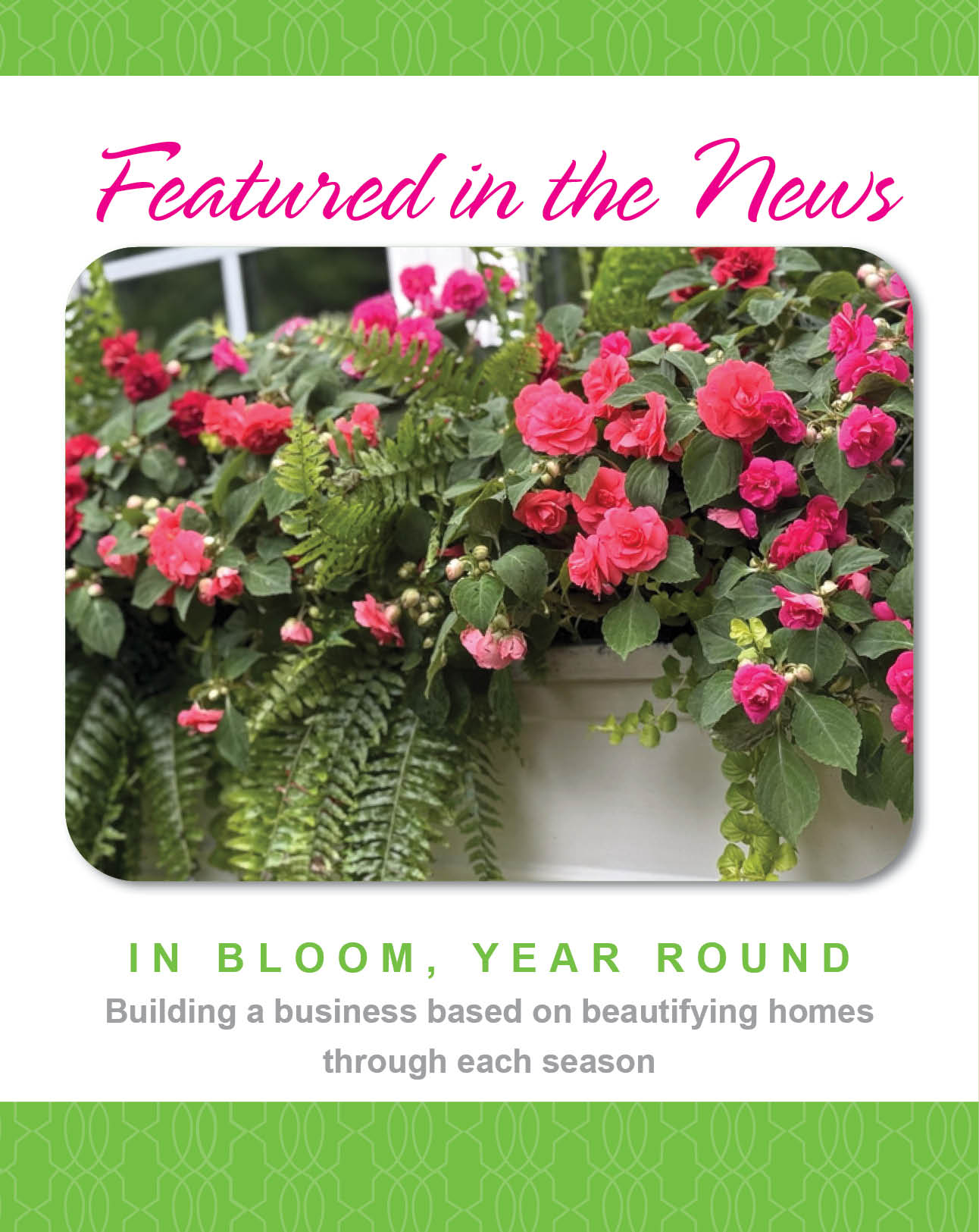 WOW Windowboxes Birmingham City News Blog Post