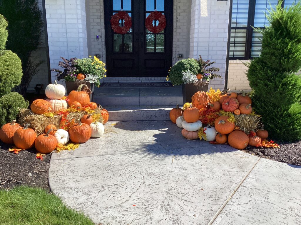 Lemmons WOW Fall-Tastic Lemmons